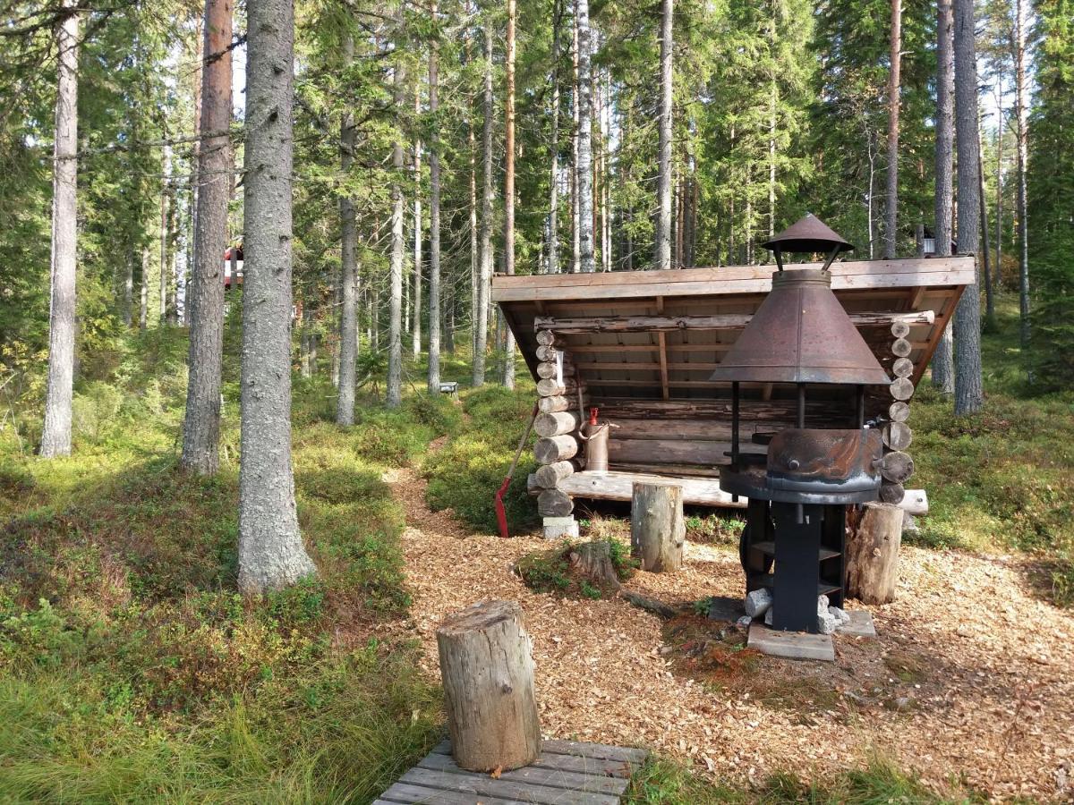 Vanha Vaeaetaenen Cottage Vaatanen Exterior foto